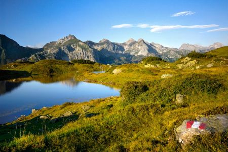 sommerlandschaft_8.jpg