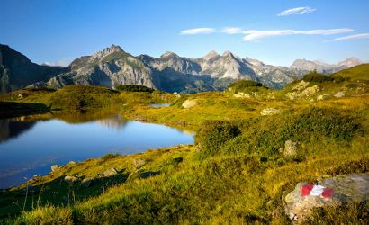 sommerlandschaft_8.jpg